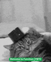 a cat wearing a top hat with the words welcome to function fbtc on the bottom