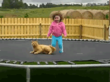 Your Reaction May Vary GIF - Kids Cats Happy GIFs