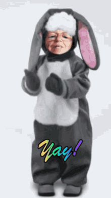 Snapchat Bunny Suit GIF - Snapchat Bunny Suit Yay GIFs