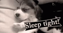 snoozefeed gif