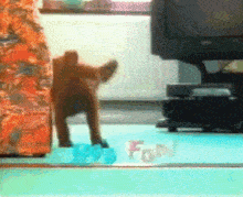 a blurred image of a cat standing next to a sign that says fun