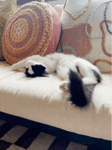 a black and white cat sleeping on a couch