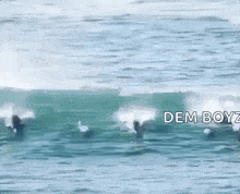 Dolphin Paddle GIF - Dolphin Paddle Board GIFs