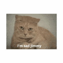 Jimmy I'M Sad Jimmy GIF