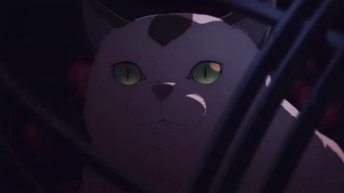 Chainsaw Man Cat GIF - Chainsaw Man Cat Anime - Discover & Share GIFs
