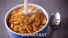 Cereal Milk GIF - Cereal Milk Breakfast GIFs