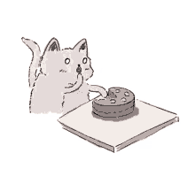 cat cake birthday eating gif