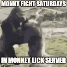 Monkey Lick Monkey Lick Server GIF - Monkey Lick Monkey Lick Server Monky Fight Saturdays GIFs