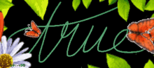 the word true is surrounded by butterflies and green leaves
