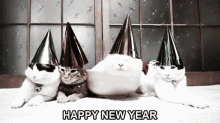 Kitties GIF - Holidays Happyholidays Newyears GIFs