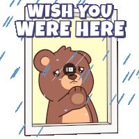 a cartoon of a teddy bear looking out a window with the words wish you were here below it