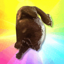 a rainbow colored background with a black object in the center