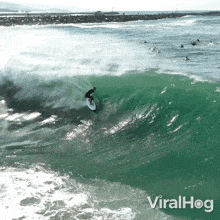 Surfing Viralhog GIF - Surfing Viralhog Catching Waves GIFs