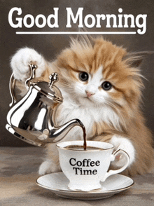 a cat is pouring coffee into a cup which says coffee time