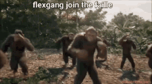 Flex Flexgang GIF - Flex Flexgang Lol Flex GIFs