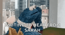 cookie monster from sesame street is sitting in front of a window .