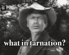 Jed Clampett What In Tarnation GIF - Jed Clampett What In Tarnation GIFs