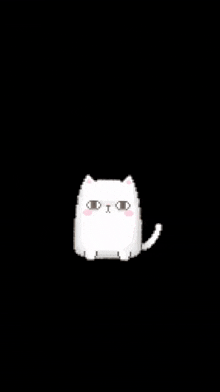 Cat Mad GIF - Cat Mad Xxliliplays702xx GIFs