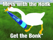 Goose Honk GIF - Goose Honk Bonk GIFs