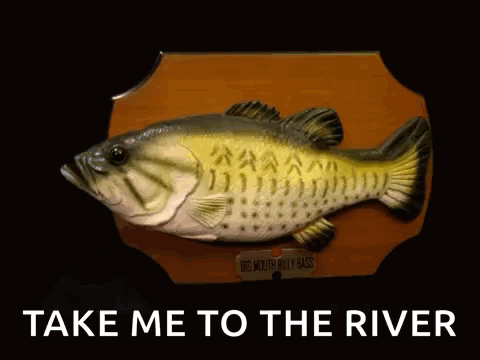 Billy The Bass GIFs | Tenor