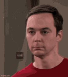 Sheldon GIF