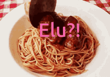 el elu elu spagelu el spagel elu spaghett