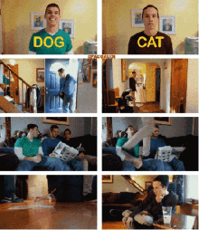 Dog Vs GIF - Dog Vs Cat GIFs