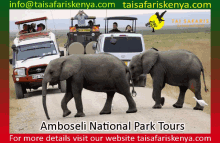 Amboseli National Park Tours GIF - Amboseli National Park Tours GIFs