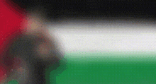a blurry picture of a flag with a green , white , and red background .