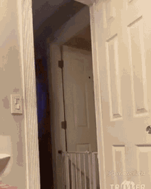 a person is standing in a hallway next to a door with a fence .