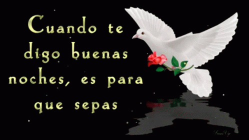 Buenas Noches Dtb GIF - Buenas Noches Dtb Dove - Discover & Share GIFs Buenas Noches Dtb GIF - Buenas Noches Dtb Dove - Discover & Share GIFs
