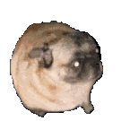 %D0%B4%D1%8D%D0%BD%D1%81.gif