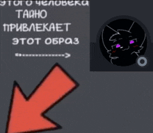 a red arrow pointing to a picture of a cat with purple eyes