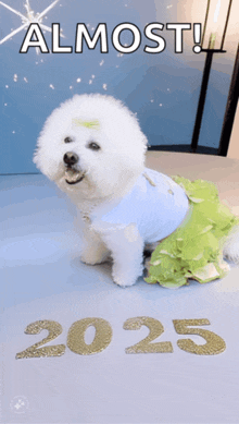 a small white dog wearing a blue shirt and a green skirt sits in front of the number 2025