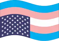 a transgender flag with a blue and pink stripe and white stars