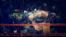 a blurry image of a wrestling match with a w logo