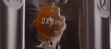 Craft Beer Oxbow Brewing GIF - Craft Beer Oxbow Brewing GIFs