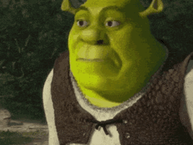 Shrek's funny face [1000x1000] : r/MemeRestoration