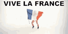 Vive La France GIF