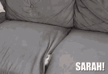 Sarah Arise GIF - Sarah Arise GIFs