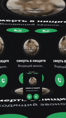 a phone screen with a picture of a lion and the words " смерть в нищите " on it