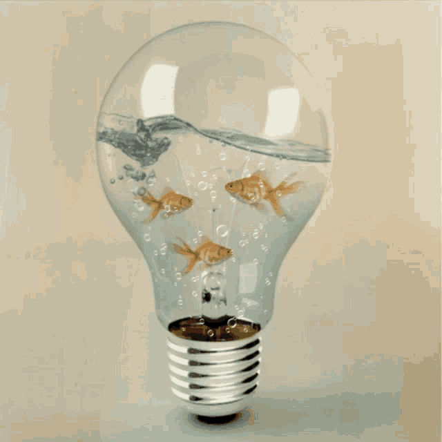 Ideas Goldfish GIF - Ideas Goldfish Cute - Discover & Share GIFs
