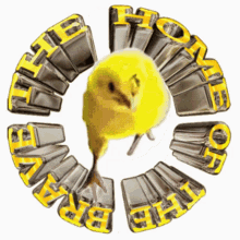 Atra Bilis Stickergif Baby Chicken GIF - Atra Bilis Stickergif Baby Chicken Funny Animals GIFs