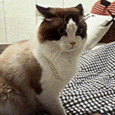 a brown and white cat wearing a pearl necklace is sitting on a bed