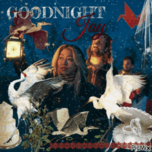 a picture of a woman surrounded by birds with the words goodnight jay