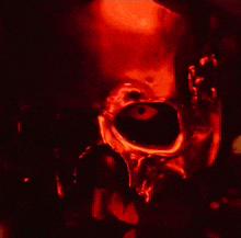 a close up of a skull with a red background