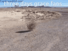 Three Days Grace GIF - Three Days Grace GIFs