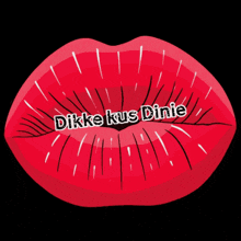 a picture of a woman 's lips with the words dikke kus dinie written on it