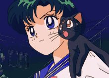 Sailor Mercury GIF - Sailor Mercury Cat GIFs