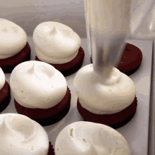 cupcakes iced cupcakes red velvet red velvet cupcakes frosting